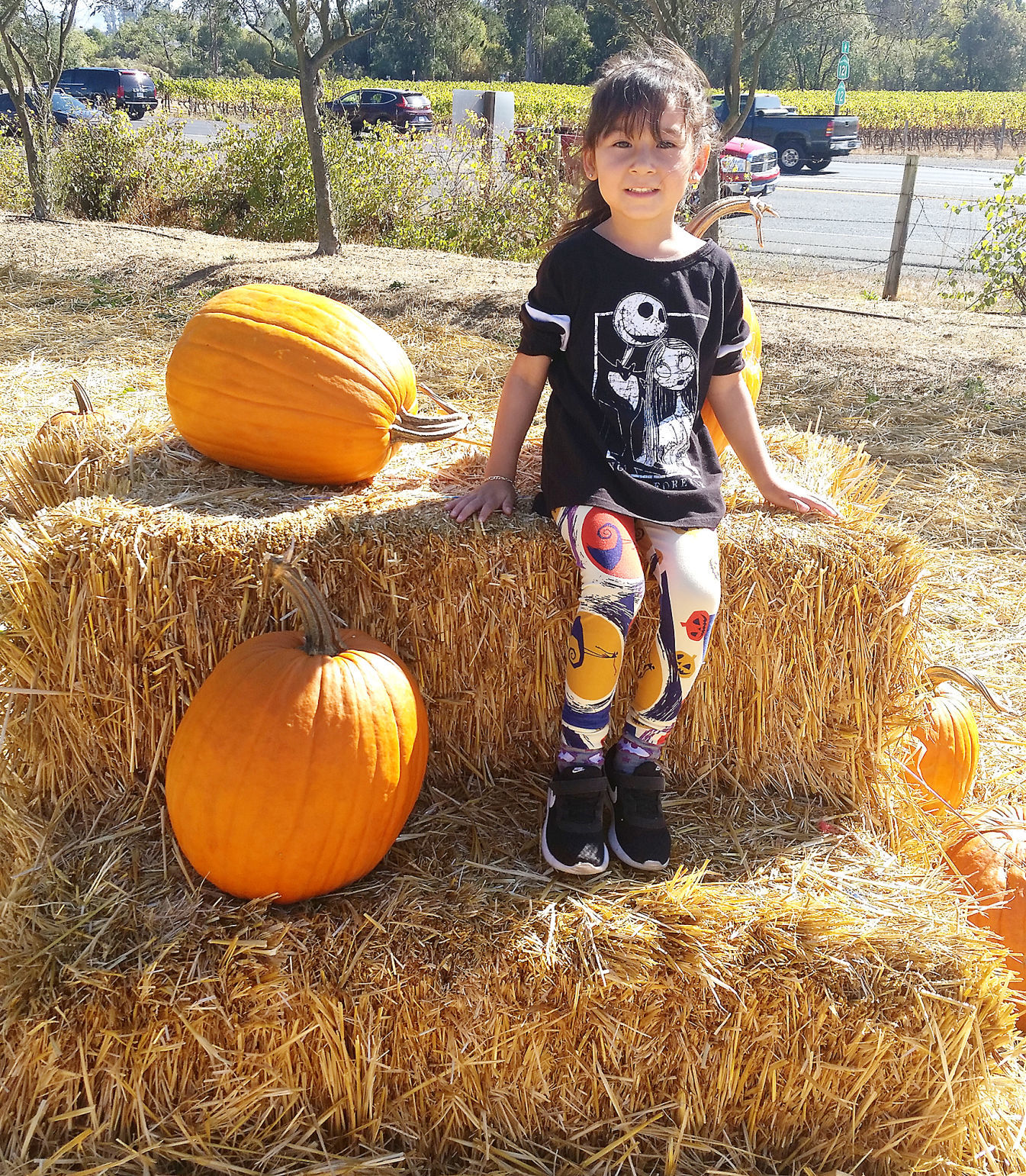 Pumpkin Patch